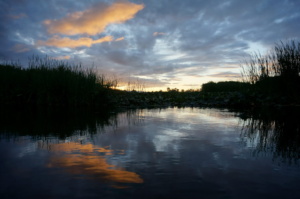 South Branch Muskegon River, July 15, 2016.jpg