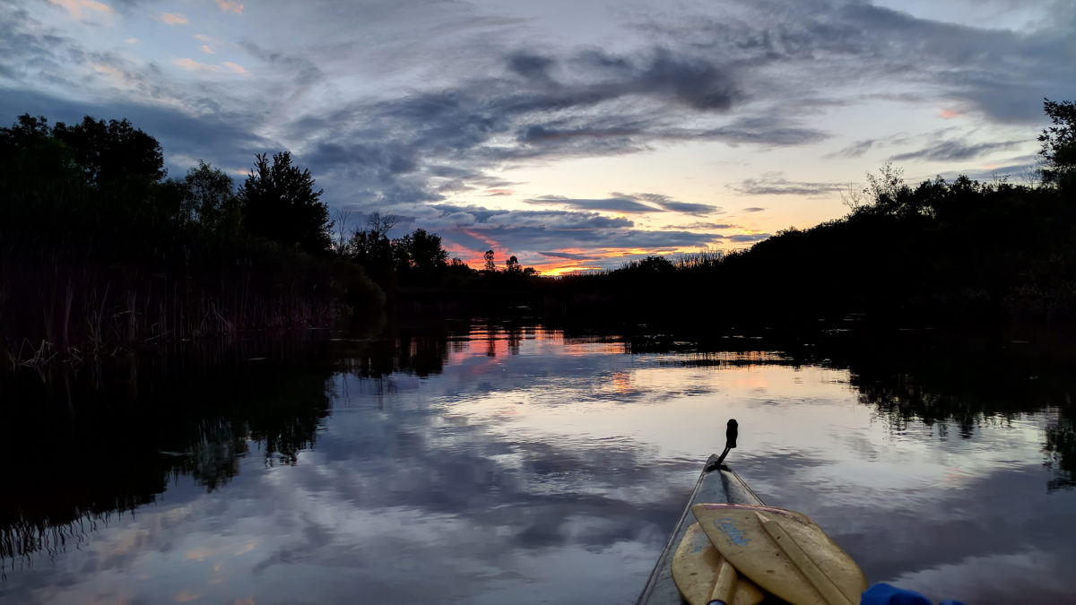 South Branch Muskegon River, July 15, 2016.jpg