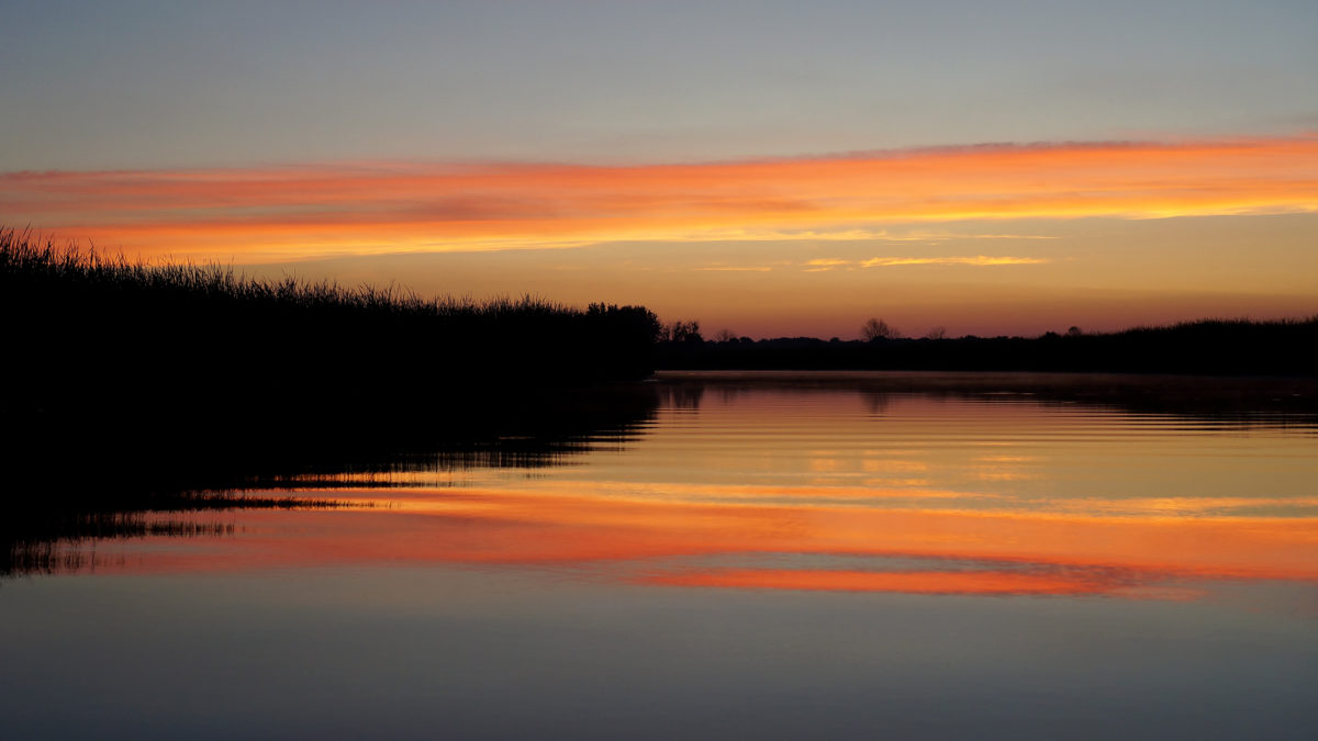 North Branch Muskegon River, September 5, 2016