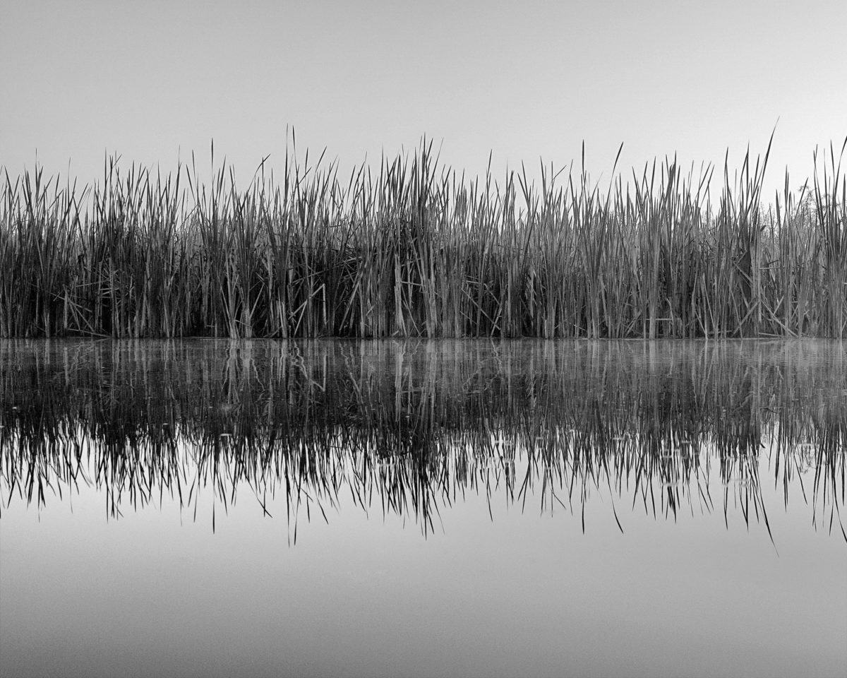 Muskegon River 3 BW2, May 29, 2017