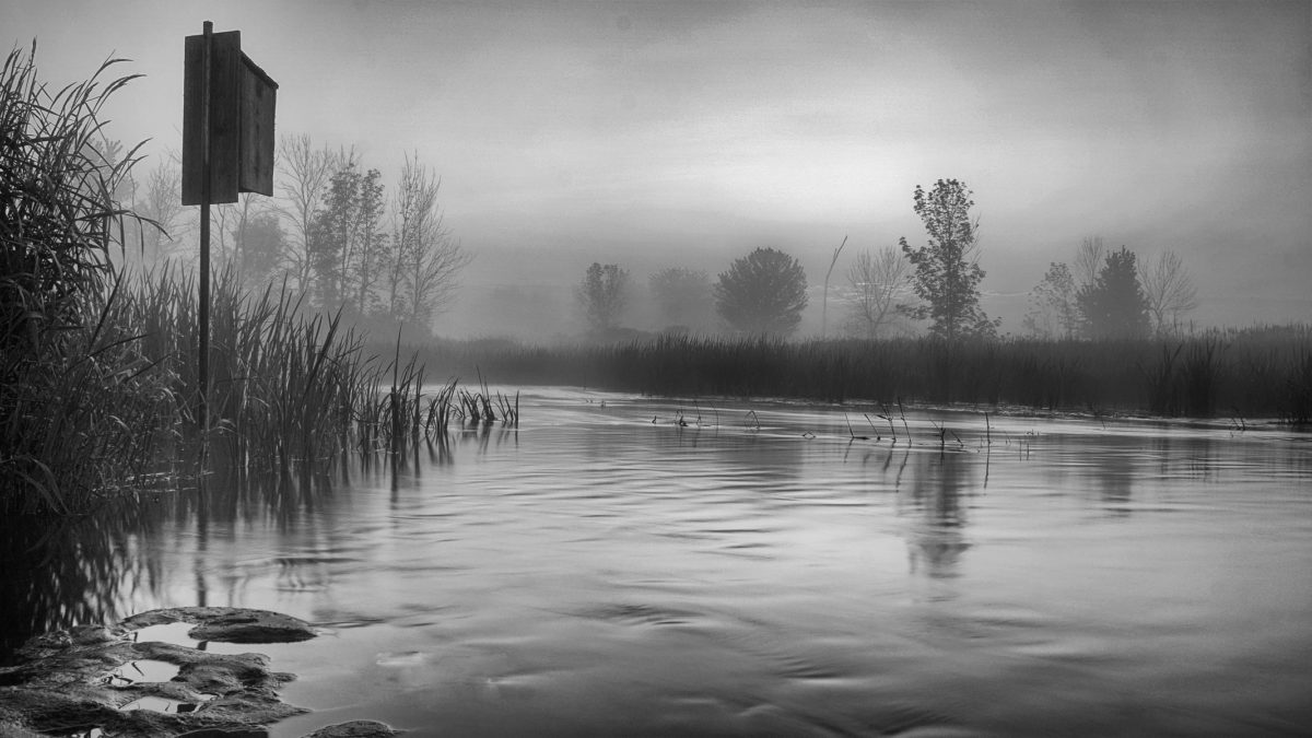 Muskegon River 3 BW4, June 2, 2017