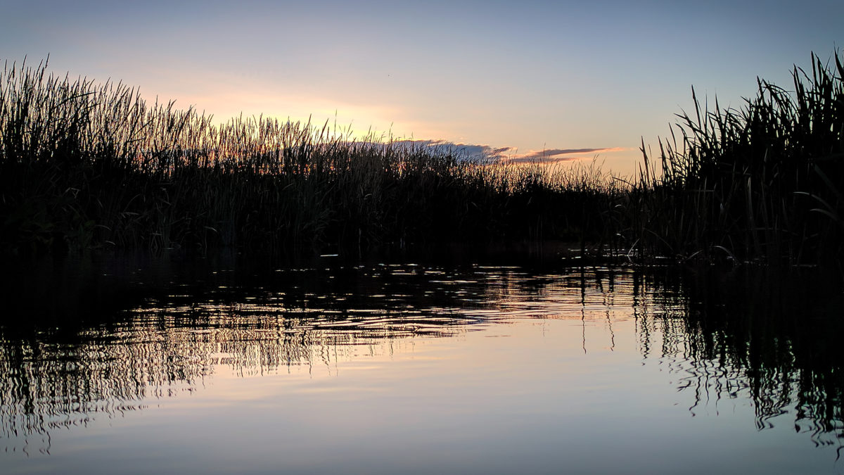 Muskegon River, June 25, 2017