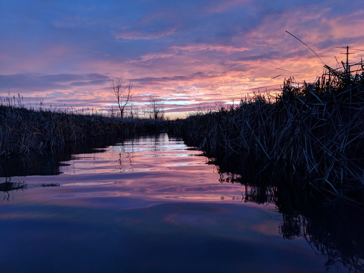 First Light on Muskegon River, November 24, 2017