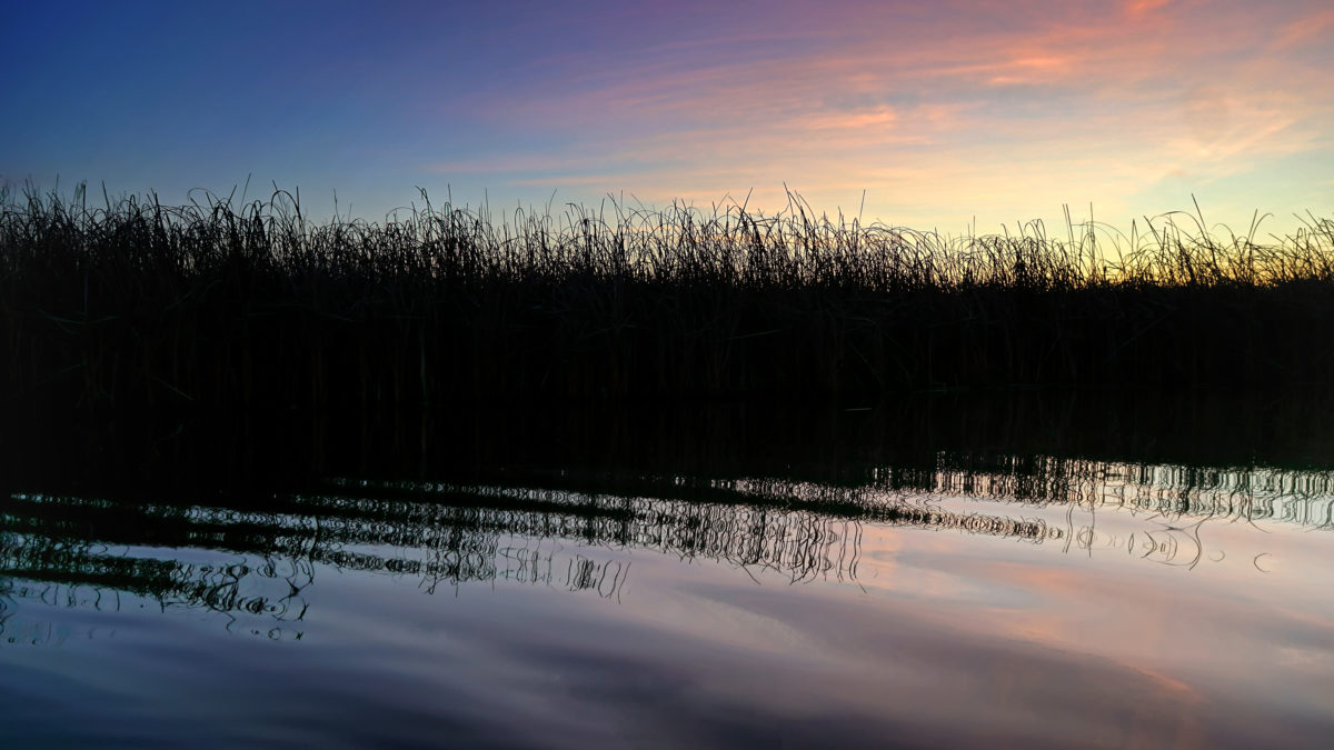 Muskegon River, December 3, 2017.jpg