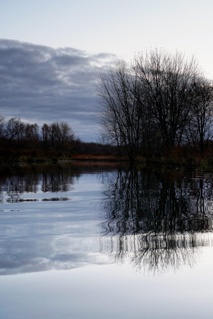 Muskegon River, November 3, 2018